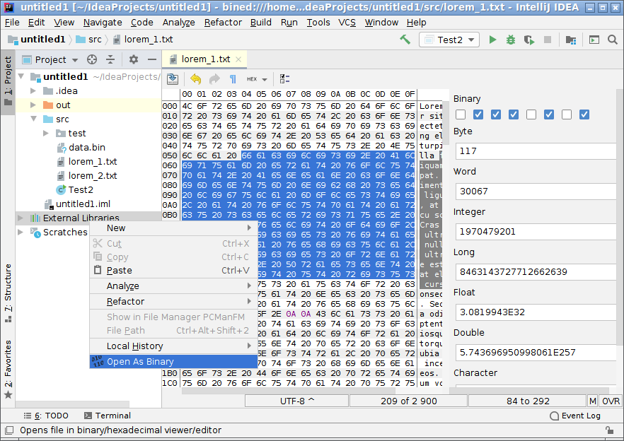 BinEd - Binary / Hexadecimal Editor